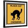 Black Cat Crossing-Tina Lavoie-Framed Giclee Print