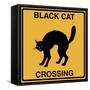 Black Cat Crossing-Tina Lavoie-Framed Stretched Canvas