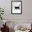 Black Cat (Felis Catus) Walking Profile-Jane Burton-Framed Photographic Print displayed on a wall