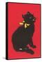 Black Cat Graphic-null-Framed Stretched Canvas