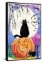 Black Cat in Full Moon Halloween-sylvia pimental-Framed Stretched Canvas