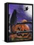 Black Cat in Pumpkin Patch Halloween-sylvia pimental-Framed Stretched Canvas