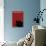 Black Cat in Red-Ikuko Kowada-Giclee Print displayed on a wall