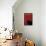 Black Cat in Red-Ikuko Kowada-Framed Stretched Canvas displayed on a wall