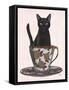 Black Cat in Teacup-Fab Funky-Framed Stretched Canvas