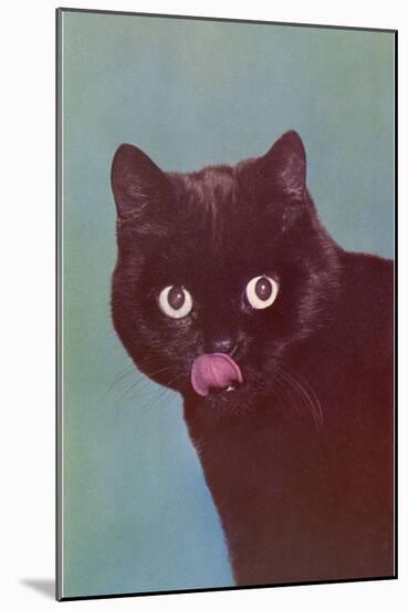 Black Cat Licking Chops-null-Mounted Art Print