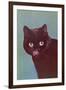 Black Cat Licking Chops-null-Framed Art Print