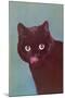 Black Cat Licking Chops-null-Mounted Art Print