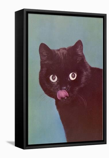 Black Cat Licking Chops-null-Framed Stretched Canvas