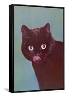 Black Cat Licking Chops-null-Framed Stretched Canvas