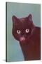 Black Cat Licking Chops-null-Stretched Canvas