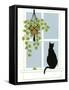 Black Cat on a Window Sill-Crockett Collection-Framed Stretched Canvas