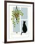 Black Cat on a Window Sill-Crockett Collection-Framed Giclee Print