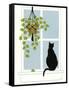 Black Cat on a Window Sill-Crockett Collection-Framed Stretched Canvas