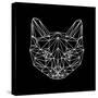 Black Cat Polygon-Lisa Kroll-Stretched Canvas