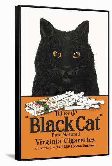 Black Cat Pure Matured Virginia Cigarettes-null-Framed Stretched Canvas