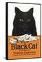 Black Cat Pure Matured Virginia Cigarettes-null-Framed Stretched Canvas