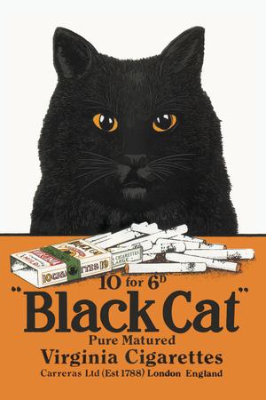 https://imgc.allpostersimages.com/img/posters/black-cat-pure-matured-virginia-cigarettes_u-L-Q1I3I950.jpg?artPerspective=n