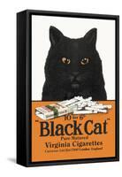 Black Cat Pure Matured Virginia Cigarettes-null-Framed Stretched Canvas