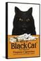 Black Cat Pure Matured Virginia Cigarettes-null-Framed Stretched Canvas