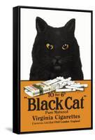 Black Cat Pure Matured Virginia Cigarettes-null-Framed Stretched Canvas