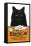 Black Cat Pure Matured Virginia Cigarettes-null-Framed Stretched Canvas