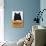 Black Cat Pure Matured Virginia Cigarettes-null-Stretched Canvas displayed on a wall