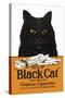 Black Cat Pure Matured Virginia Cigarettes-null-Stretched Canvas