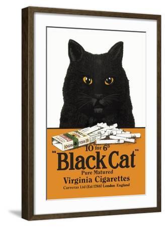 black cat cigarettes poster Black Cat Pure Matured Virginia Cigarettes