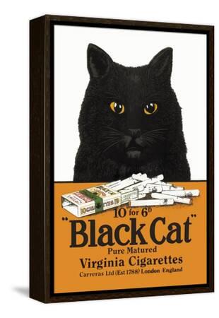 black cat cigarettes history Black Cat Pure Matured Virginia Cigarettes Prints