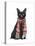 Black Cat, Red Scarf-Fab Funky-Stretched Canvas