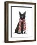 Black Cat, Red Scarf-Fab Funky-Framed Art Print