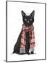 Black Cat, Red Scarf-Fab Funky-Mounted Art Print