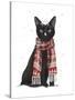 Black Cat, Red Scarf-Fab Funky-Stretched Canvas