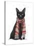 Black Cat, Red Scarf-Fab Funky-Stretched Canvas