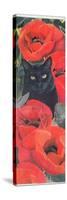 Black Cat with Poppies-Anne Robinson-Stretched Canvas