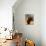 Black Cat with Pumpkins and Broomstick-null-Photographic Print displayed on a wall