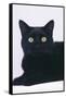 Black Cat-DLILLC-Framed Stretched Canvas