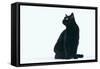 Black Cat-DLILLC-Framed Stretched Canvas