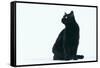 Black Cat-DLILLC-Framed Stretched Canvas