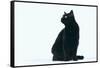 Black Cat-DLILLC-Framed Stretched Canvas