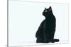 Black Cat-DLILLC-Stretched Canvas