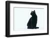 Black Cat-DLILLC-Framed Photographic Print