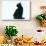 Black Cat-DLILLC-Photographic Print displayed on a wall