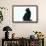 Black Cat-DLILLC-Framed Photographic Print displayed on a wall