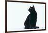 Black Cat-DLILLC-Framed Photographic Print