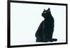 Black Cat-DLILLC-Framed Photographic Print