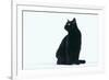 Black Cat-DLILLC-Framed Photographic Print