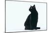 Black Cat-DLILLC-Mounted Photographic Print