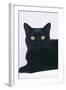 Black Cat-DLILLC-Framed Photographic Print